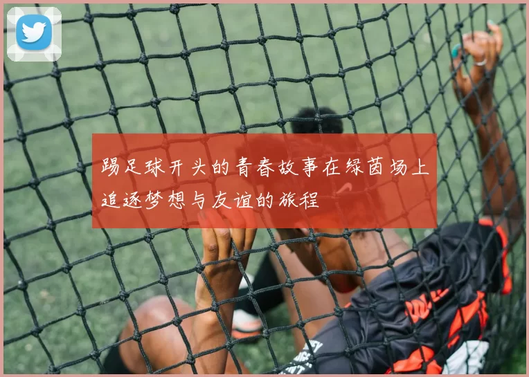 踢足球开头的青春故事在绿茵场上追逐梦想与友谊的旅程