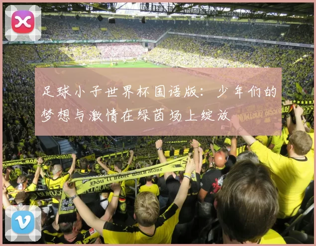 足球小子世界杯国语版：少年们的梦想与激情在绿茵场上绽放