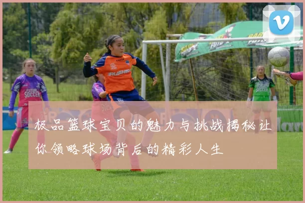 极品篮球宝贝的魅力与挑战揭秘让你领略球场背后的精彩人生