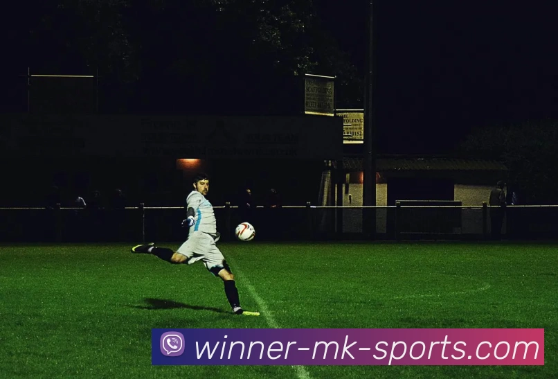 App Interface Preview