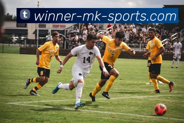 mk体育APP 封面图